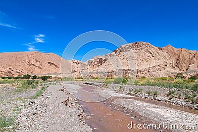 Oasis valley Quitor in Atacama, Chile Stock Photo