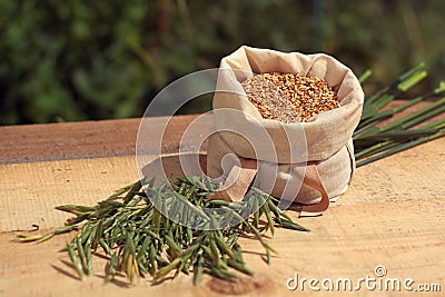 Oat - bag with grains, ears of grain Stock Photo