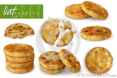 Oat Cookies Realistic Set Vector Illustration