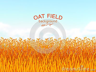 Oat field and blue sky background Vector Illustration