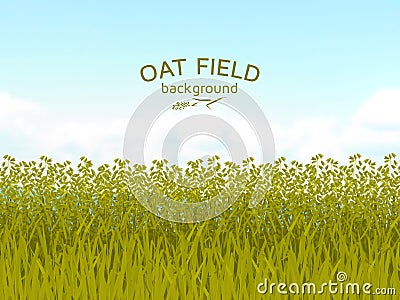 Oat field and blue sky background Vector Illustration