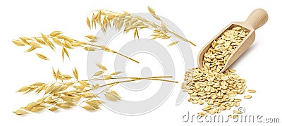 Oatmeal set. Oat ears and scoop with rolled grains isolated on w Stock Photo
