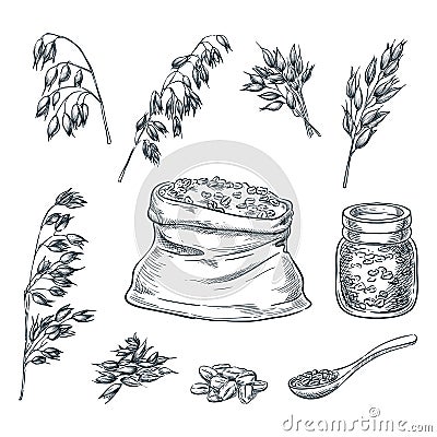 Oats cereal ears, grain in sack and porridge in glass jar. Vector sketch illustration. Hand drawn isolated design elements Vector Illustration