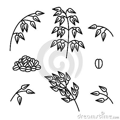 Oats collection set. Collection icon oats. Vector Vector Illustration