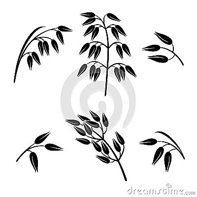 Oats collection set. Vector Vector Illustration