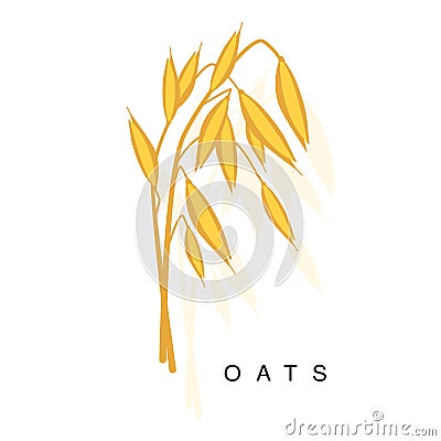 Oats Ear, Infographic Illustration With Realistic Cereal Crop Plant And Its Namer Vector Illustration
