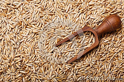 Oats grains as background Stock Photo