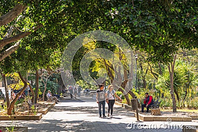 Green roof in Juarez park at Oaxaca, Mexico Editorial Stock Photo