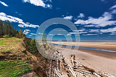 Ob River. Spring landscape Stock Photo