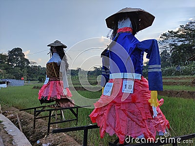 The OBANG ABING Cultural Festival is a tradition to make statues of people from straw as an effort to repel pests, Editorial Stock Photo