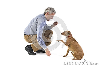 Obedience Stock Photo