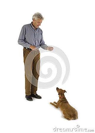 Obedience Stock Photo