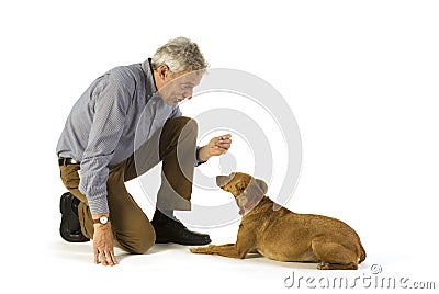 Obedience lay down Stock Photo