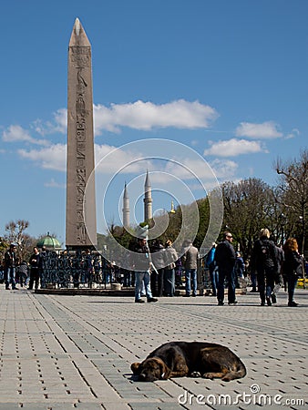 Obelisk of Thutmose III Editorial Stock Photo