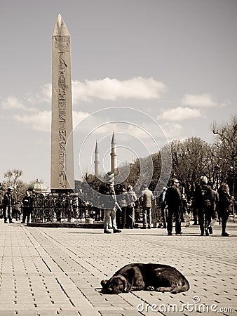 Obelisk of Thutmose III Editorial Stock Photo