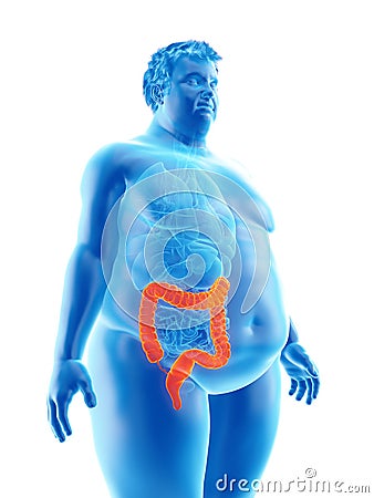 An obese mans colon Cartoon Illustration