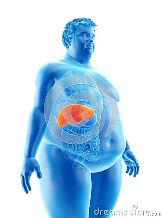 An obese mans liver Cartoon Illustration