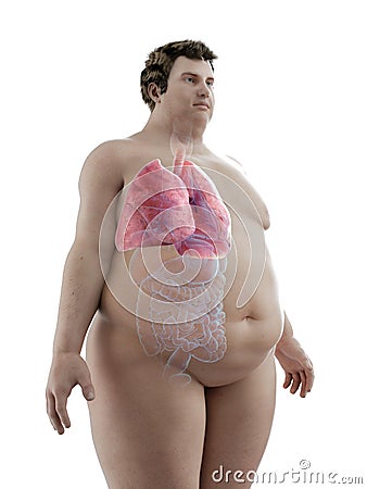 An obese mans lungs Cartoon Illustration