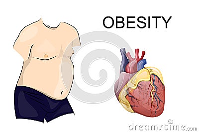 Obesity. body and heart Vector Illustration
