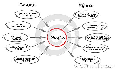 Obesity: causes and effects Stock Photo