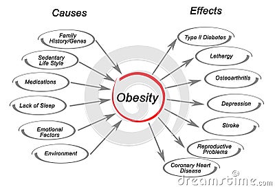 Obesity: Causes and Effects Stock Photo