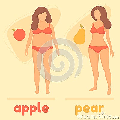 Obesity woman body type, apple and pear Vector Illustration