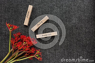 Object shooting of a flower and beautiful inscriptions on cubes. Layout items Stock Photo