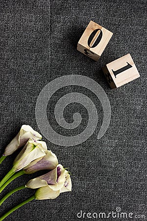 Object shooting from a flower bouquet and wooden cubes with numbers . The subject picture Stock Photo