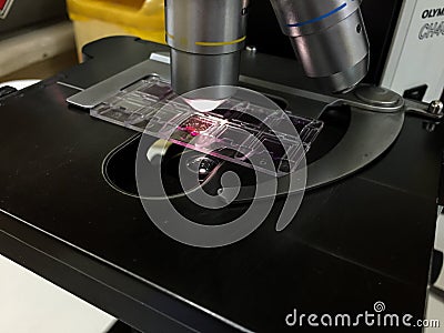 Objective lens with object slide on microscope table Editorial Stock Photo