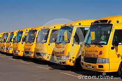 An oblique perspective of 8 yellow Arabic school busses Stock Photo