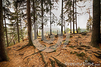 Observation Point Zloty Widok Golden View. Karkonoski National Stock Photo