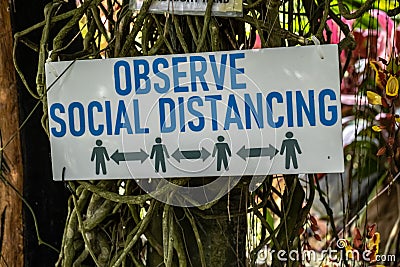 Observe Social Distancing sign tied to a tree in the park Stock Photo