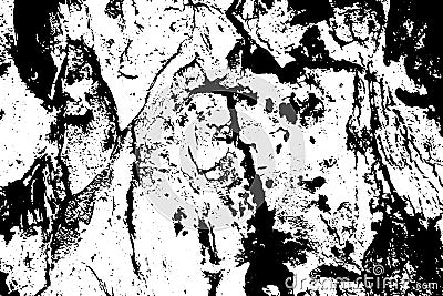 Obsolete tree bark texture. Black and white bark ornament. Stock Photo