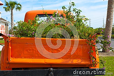 Ocala, Florida November 26, 2023 old vintage Chevrolet Pickup, unique orange vintage truck car with various color wildflowers in Editorial Stock Photo