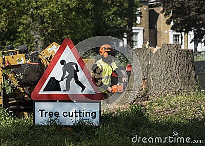 Occupation: Arborist in protective gear uses a chainsaw to cut up a tree trunk. 4 Editorial Stock Photo
