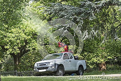 Occupation: Groundsman spray insecticide high into the trees. Editorial Stock Photo