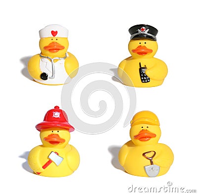 Occupational Ducks Stock Photo