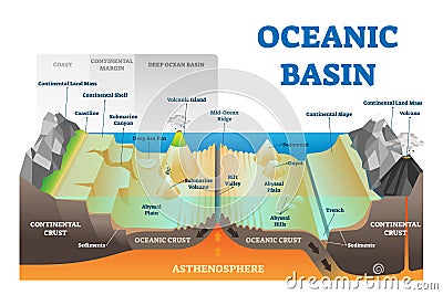 Ocean basin structure vector illustration. Labeled underwater level scheme. Vector Illustration