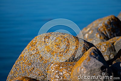 An ocean boulder in beautiful sunset light Stock Photo