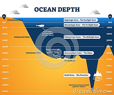 Ocean depth zones infographic, vector illustration labeled diagram Vector Illustration