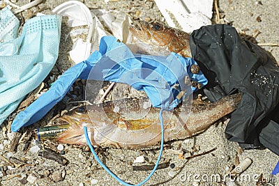 Ocean Fish dead eating alkaline discarded battery on a debris polluted sea habitat,nature contamination Stock Photo