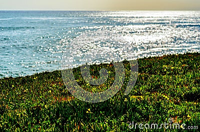 Ocean glare Stock Photo