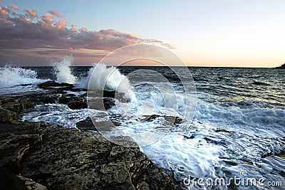 Ocean life Stock Photo