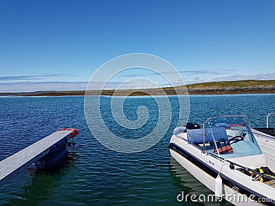 Ocean life Editorial Stock Photo