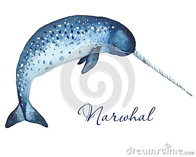 Ocean mammals watercolor. Stock Photo