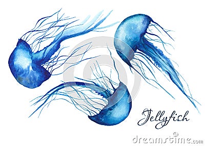 Ocean mammals watercolor. Stock Photo