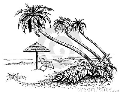 Ocean or sea beach with palms, sketch. Black and white vector illustration. Vector Illustration