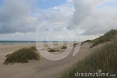 Ocean shore with Marram grass and slippery sand dunes on a cloudy day Stock Photo