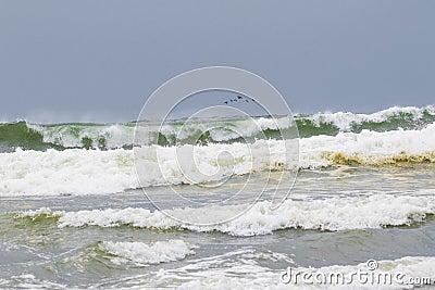 Ocean shores waves Stock Photo