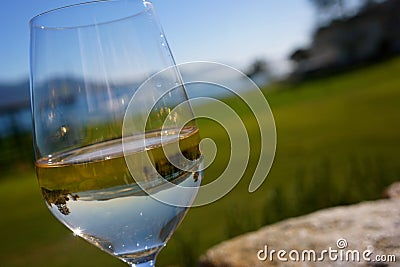 Reflection in Glass White Wine Stock Photo